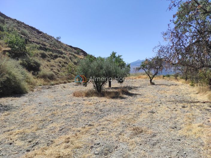 Image No.12-Maison de campagne de 1 chambre à vendre à Lúcar