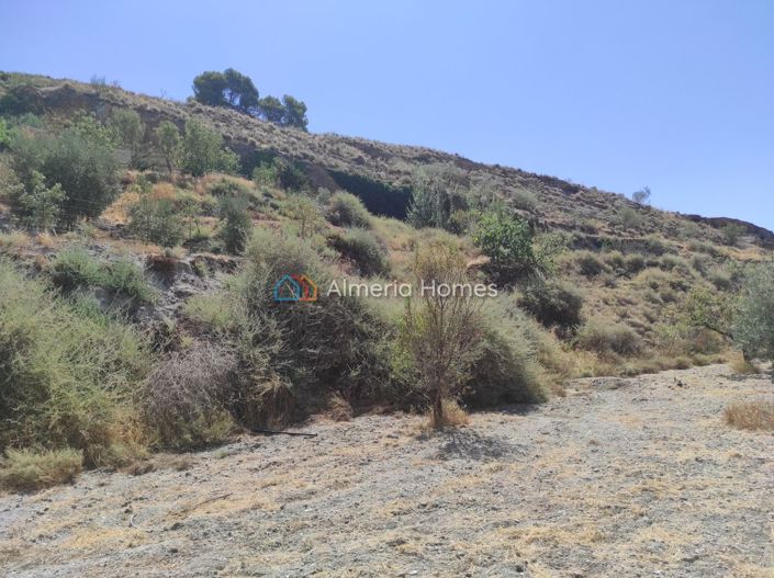 Image No.13-Maison de campagne de 1 chambre à vendre à Lúcar