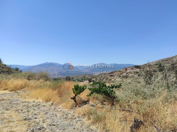 Image No.14-Maison de campagne de 1 chambre à vendre à Lúcar