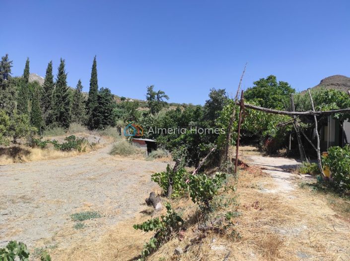 Image No.16-Maison de campagne de 1 chambre à vendre à Lúcar