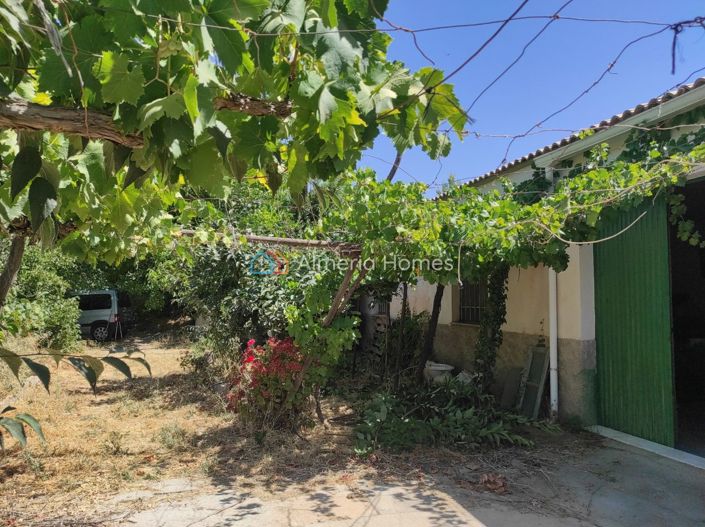 Image No.21-Maison de campagne de 1 chambre à vendre à Lúcar
