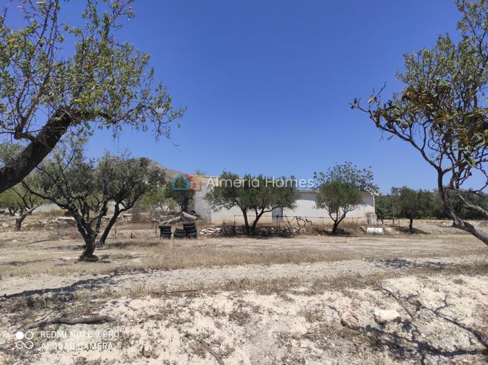 Image No.10-Maison de campagne de 2 chambres à vendre à Lúcar