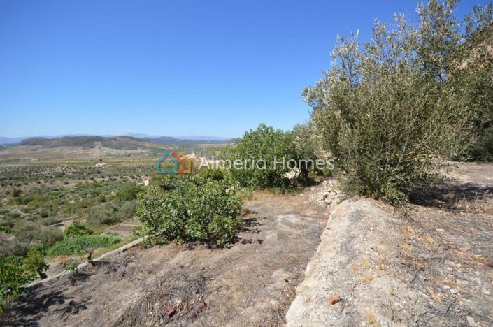 Image No.5-Maison de campagne de 3 chambres à vendre à Oria