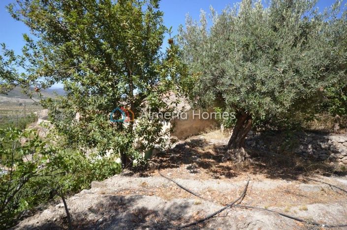 Image No.6-Maison de campagne de 3 chambres à vendre à Oria