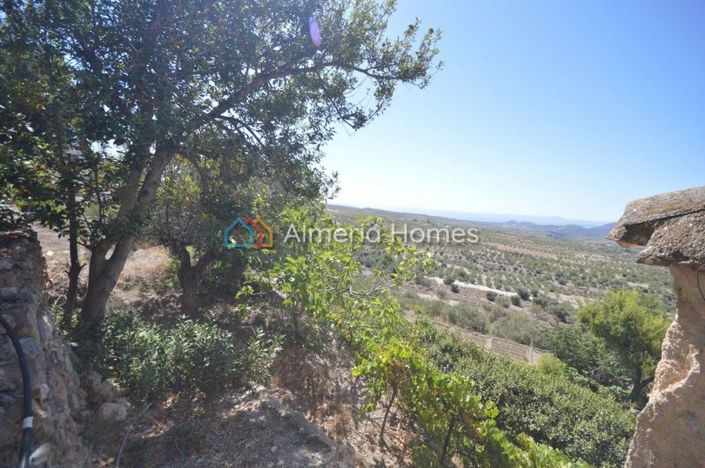 Image No.7-Maison de campagne de 3 chambres à vendre à Oria