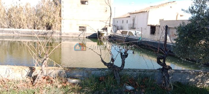 Image No.19-Maison de campagne de 3 chambres à vendre à Baza