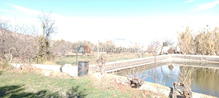 Image No.22-Maison de campagne de 3 chambres à vendre à Baza