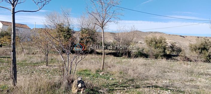 Image No.23-Maison de campagne de 3 chambres à vendre à Baza