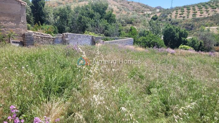 Image No.15-Maison de village de 4 chambres à vendre à Los Cerricos