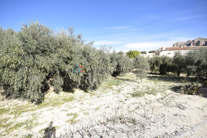 Image No.11-Maison de campagne de 1 chambre à vendre à Velez Blanco