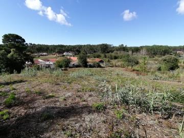 1 - Monte Redondo, Terre