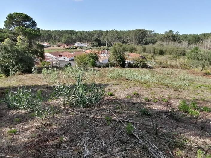 Image No.4-Land for sale