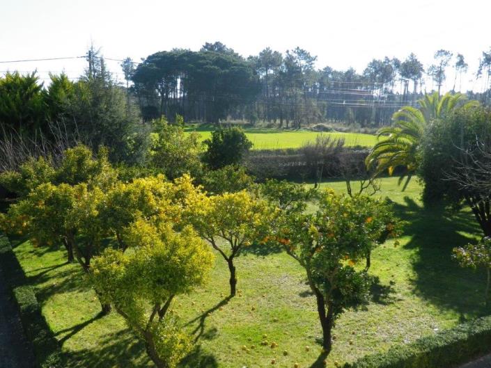 Image No.47-Propriété de 5 chambres à vendre à Monte Redondo