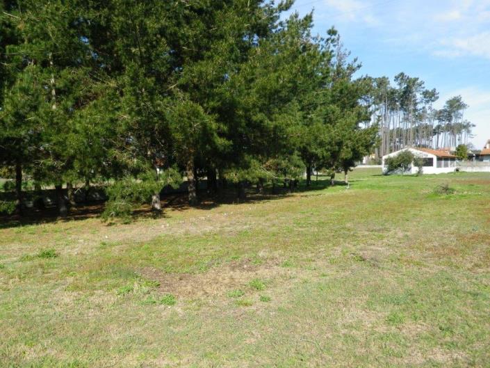 Image No.54-Propriété de 5 chambres à vendre à Monte Redondo