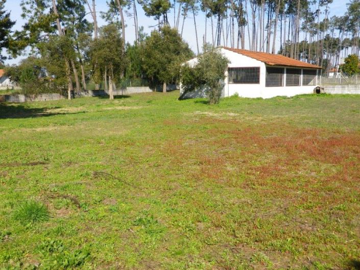 Image No.59-Propriété de 5 chambres à vendre à Monte Redondo