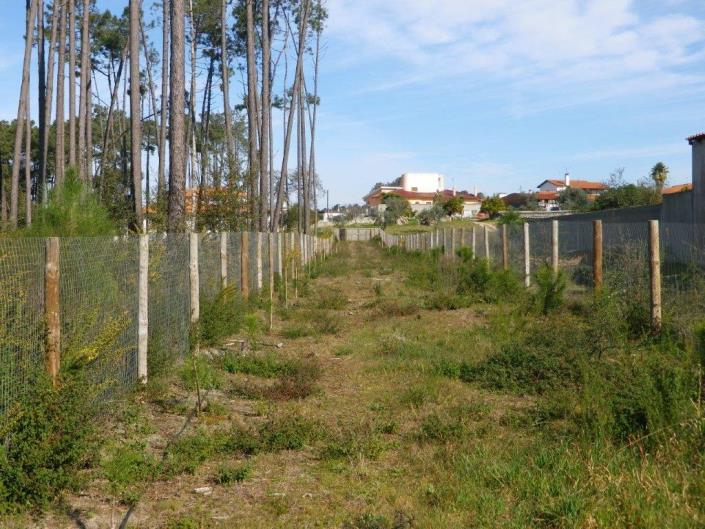 Image No.60-Propriété de 5 chambres à vendre à Monte Redondo