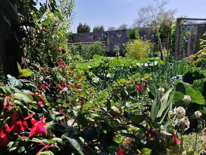 Image No.48-4 Bed House/Villa for sale