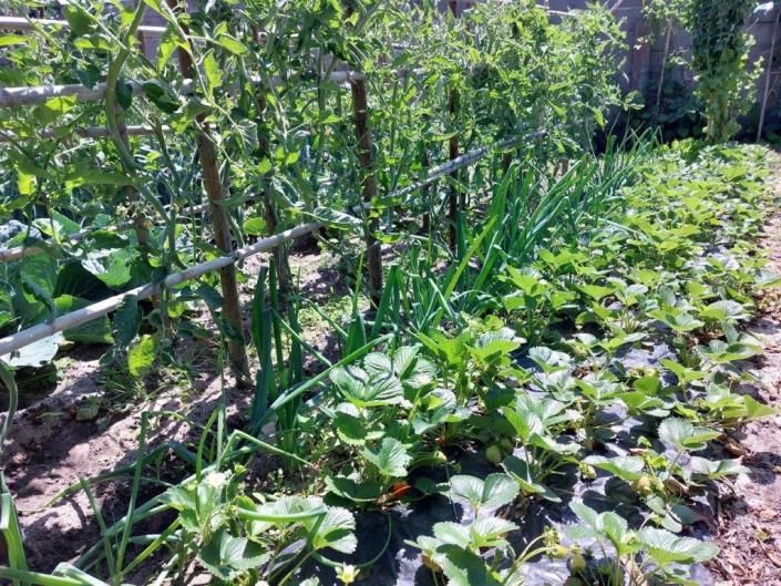 Image No.49-4 Bed House/Villa for sale