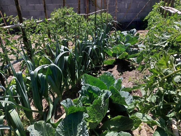 Image No.51-4 Bed House/Villa for sale