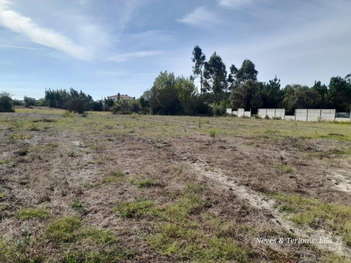 Image No.5-Terre à vendre à Coimbrão