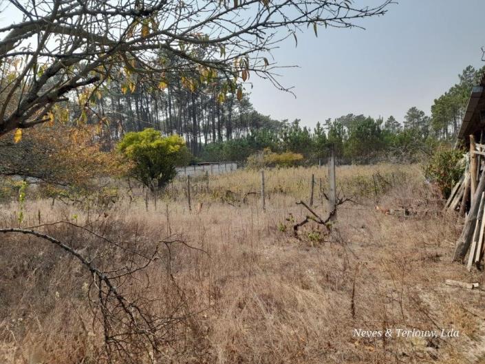 Image No.27-3 Bed Country House for sale