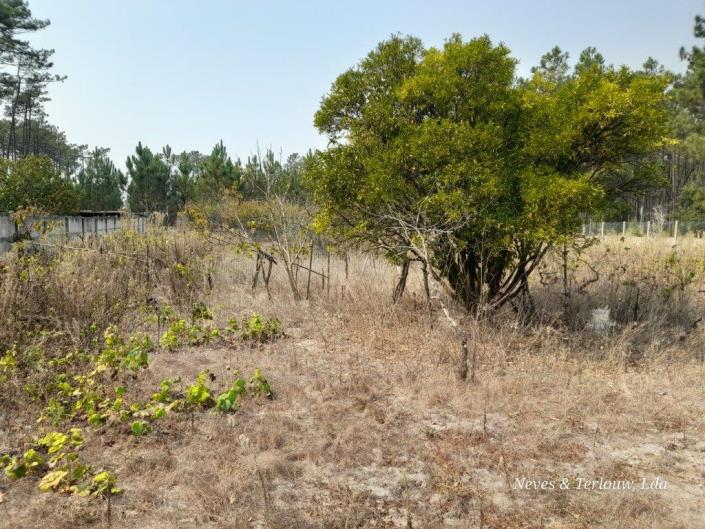 Image No.31-3 Bed Country House for sale