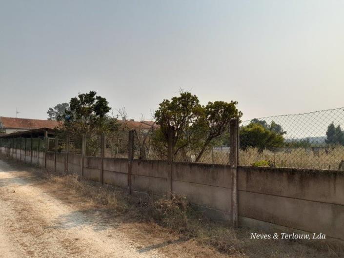 Image No.32-3 Bed Country House for sale