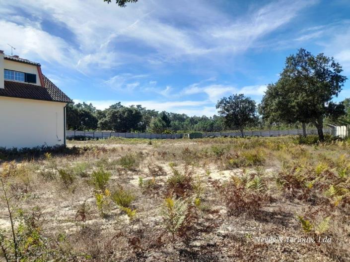 Image No.47-Maison / Villa de 7 chambres à vendre à Coimbrão