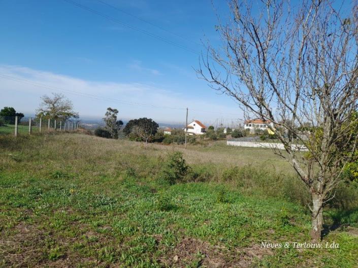 Image No.37-Maison / Villa de 4 chambres à vendre à Leiria