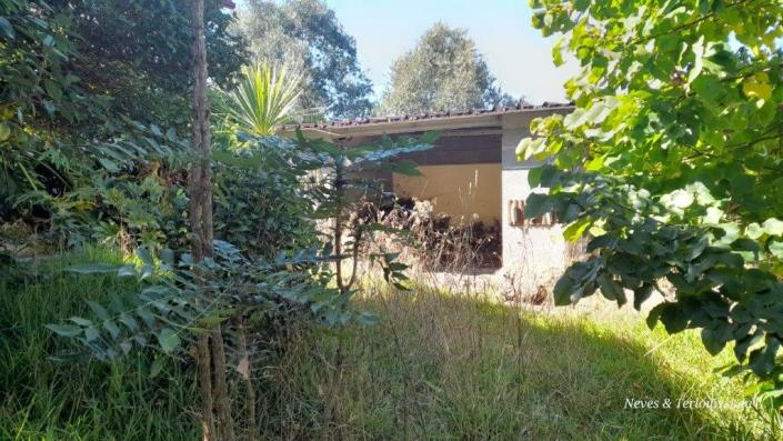 Image No.43-Maison / Villa de 3 chambres à vendre à Monte Redondo