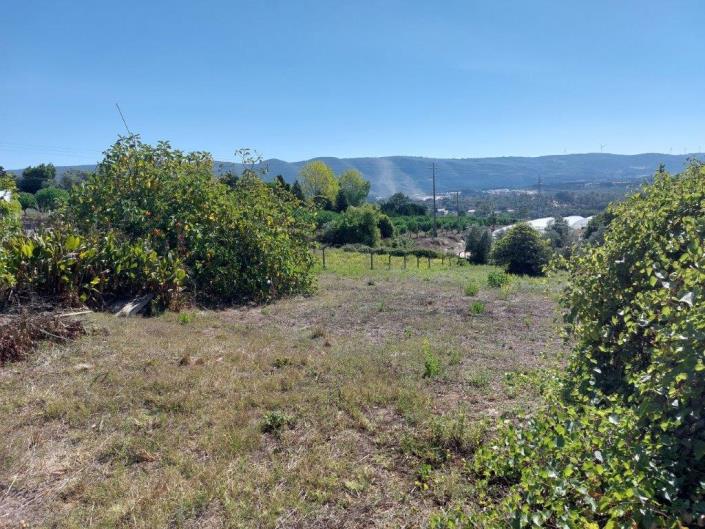 Image No.36-Maison / Villa de 3 chambres à vendre à Aljubarrota