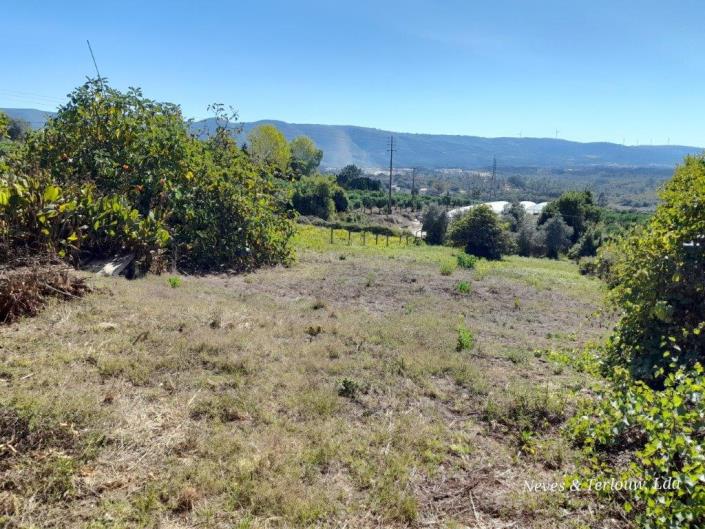 Image No.37-Maison / Villa de 3 chambres à vendre à Aljubarrota