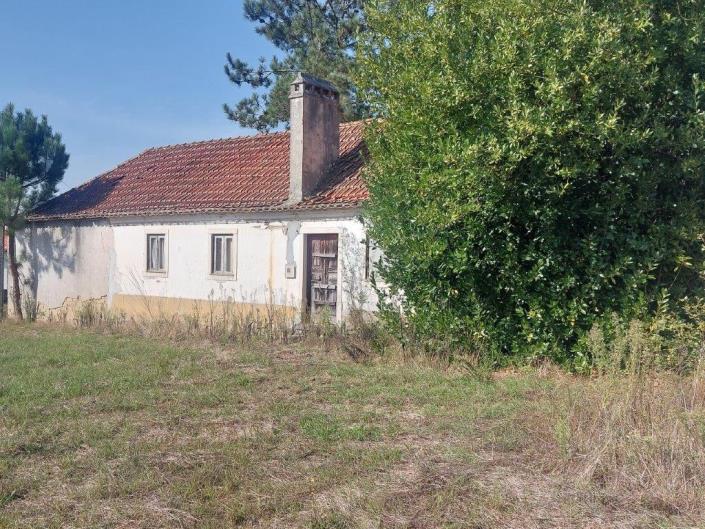 Image No.3-Propriété de pays à vendre à Leiria