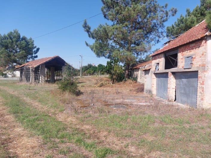 Image No.6-Propriété de pays à vendre à Leiria