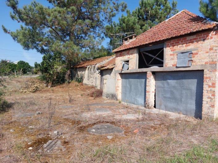 Image No.8-Propriété de pays à vendre à Leiria