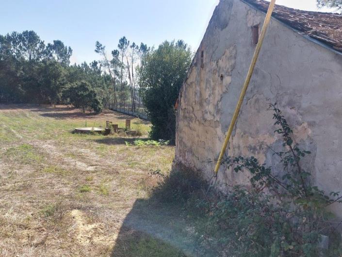 Image No.13-Propriété de pays à vendre à Leiria