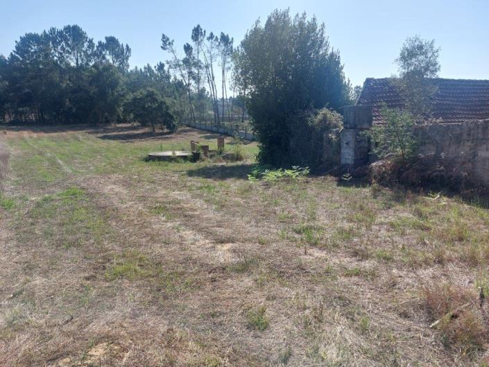 Image No.14-Propriété de pays à vendre à Leiria