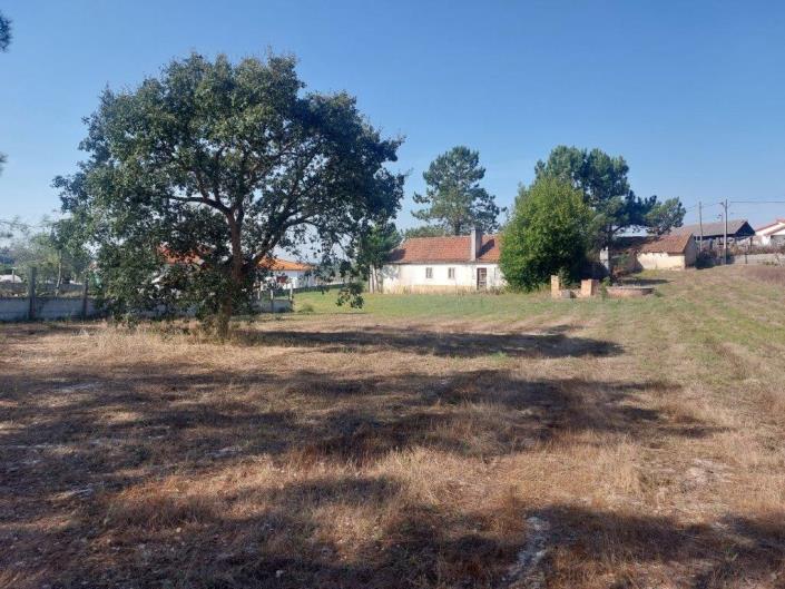 Image No.16-Propriété de pays à vendre à Leiria