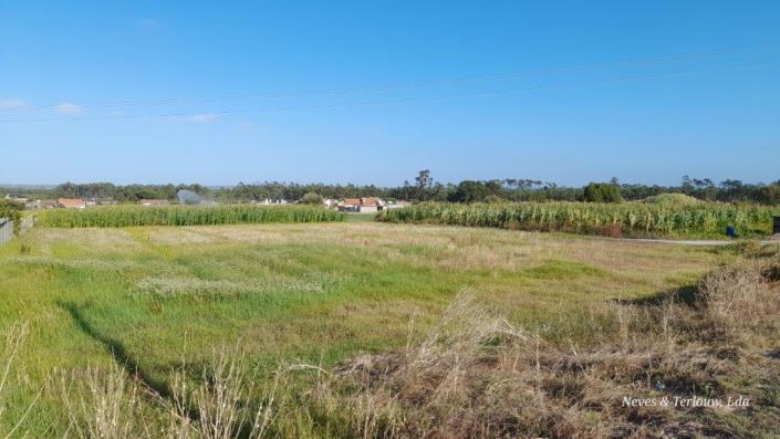 Image No.3-Terrain à vendre à Monte Redondo