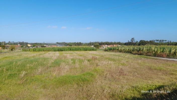 Image No.2-Terrain à vendre à Monte Redondo