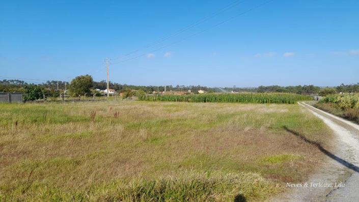 Image No.4-Terrain à vendre à Monte Redondo