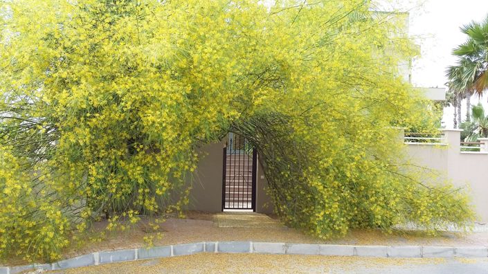 Image No.45-4 Bed Villa for sale