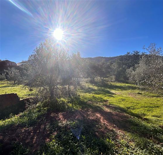 Image No.2-Land for sale