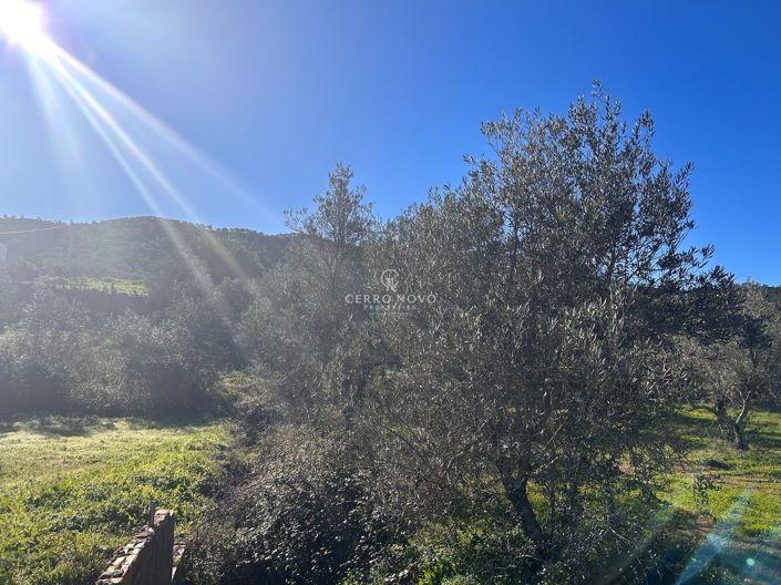 Image No.3-Land for sale