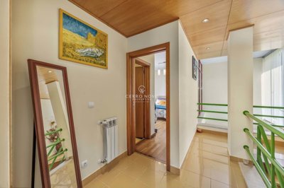 2419-351787-d4a7072701644bd18f6c9ffe77b802fa4