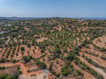 2419-353686-d4a7072701644bd18f6c9ffe77b802fa4