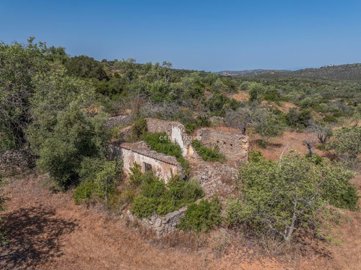 2419-353686-d4a7072701644bd18f6c9ffe77b802fa4