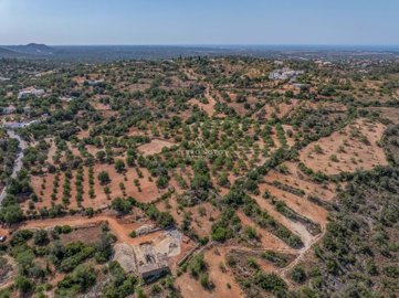 2419-353686-d4a7072701644bd18f6c9ffe77b802fa4