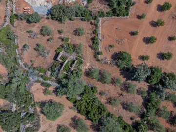 2419-353686-d4a7072701644bd18f6c9ffe77b802fa4