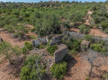 2419-353686-d4a7072701644bd18f6c9ffe77b802fa4